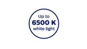 色温度 2700K がもたらす乱反射を軽減するイエロー光