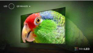 Tecnología Quantum Dot para un color y contraste increíbles.